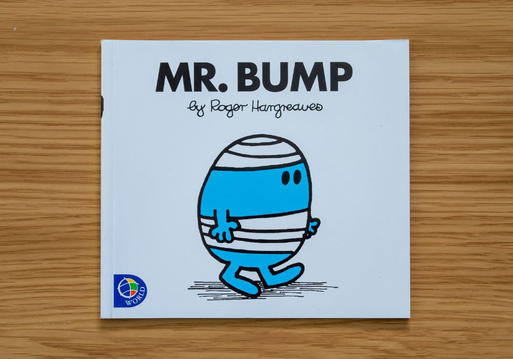 Mr Bump book