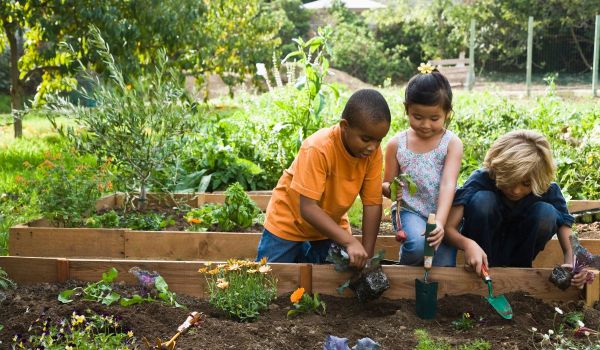 Kids planting.