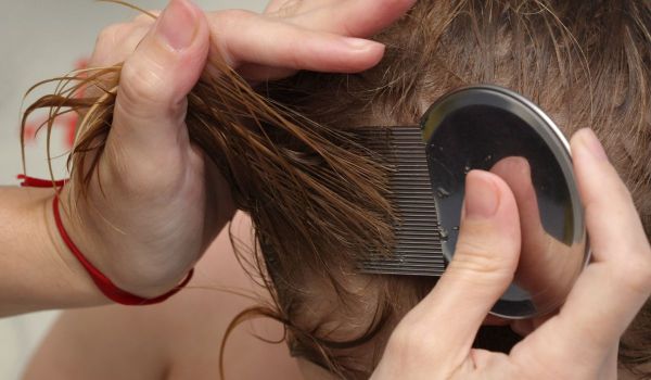 Hair comb for hair lice