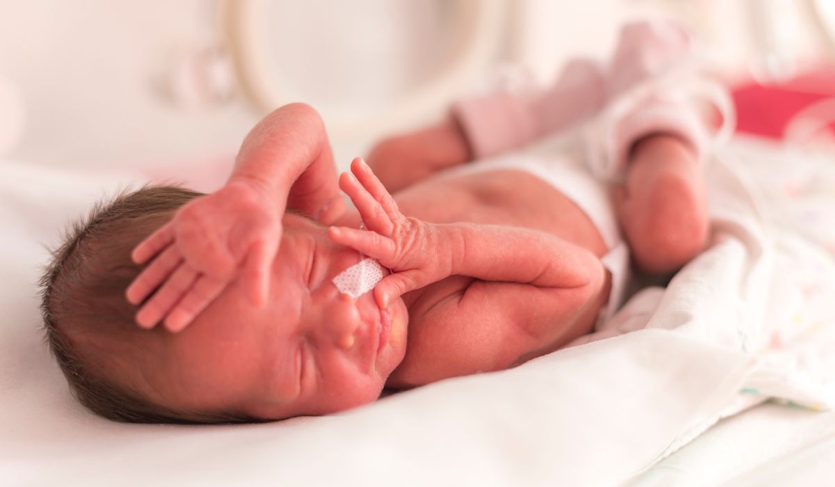 Premature baby in hospital