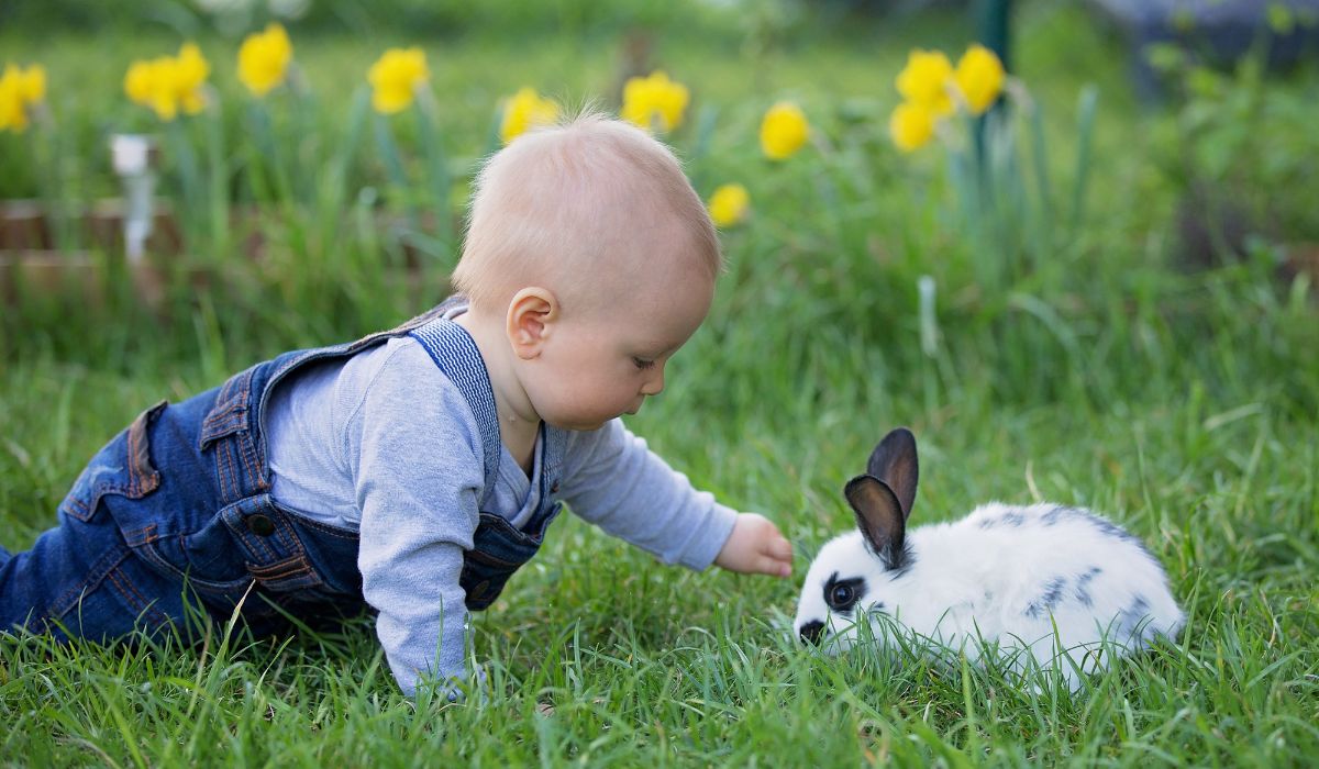 Baby and rabbit