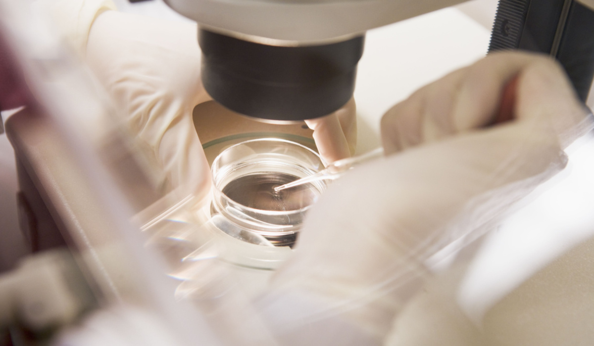 Frozen embryo being handled in lab
