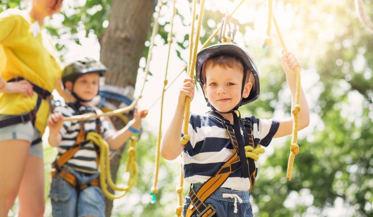 Kids doing tree-top climb.