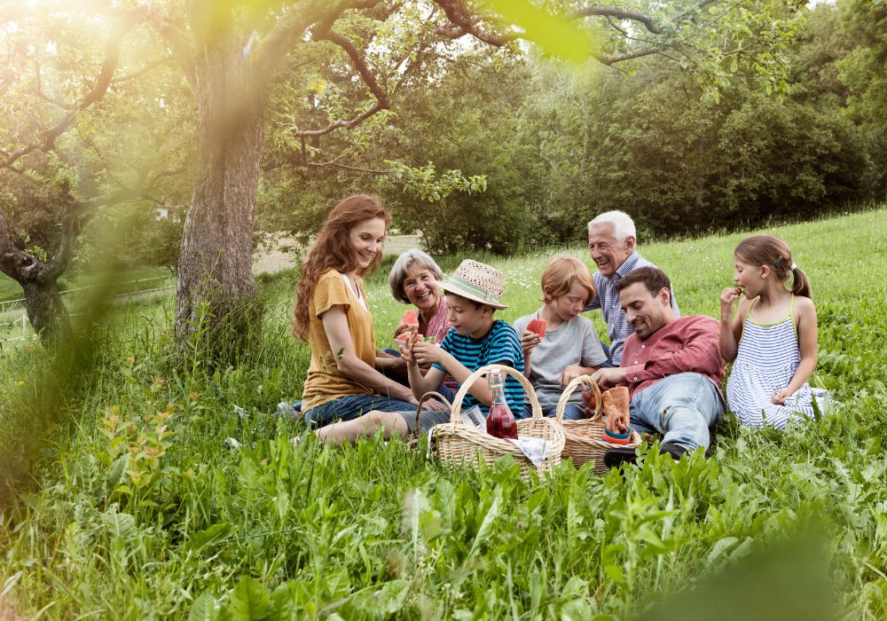Family having picnic