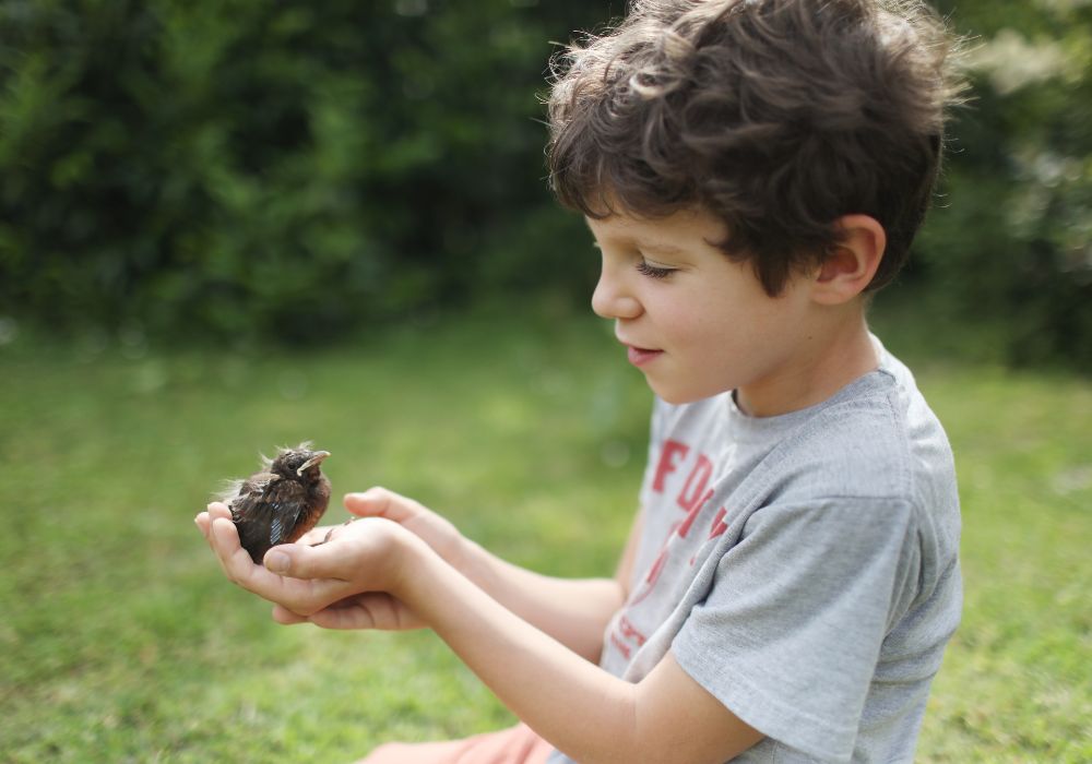 Little boy holding bird