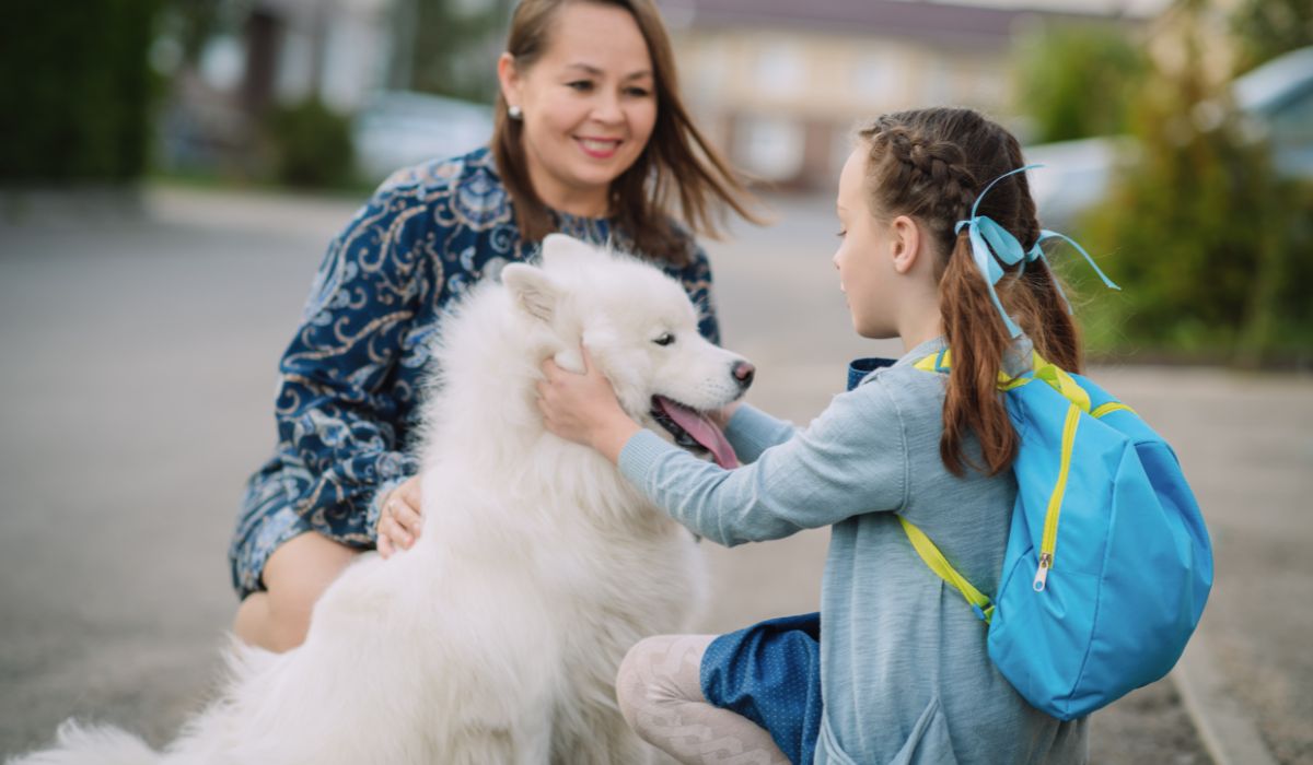 Little girl pets dog