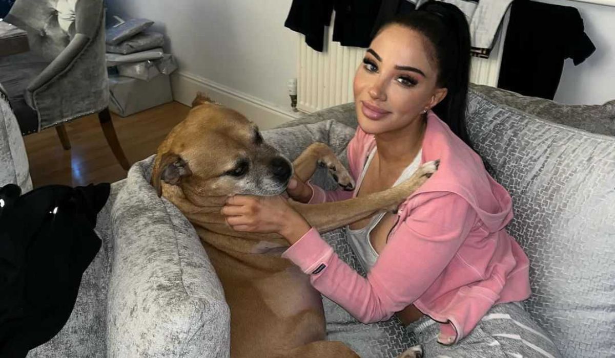 Tulisa Contostavlos