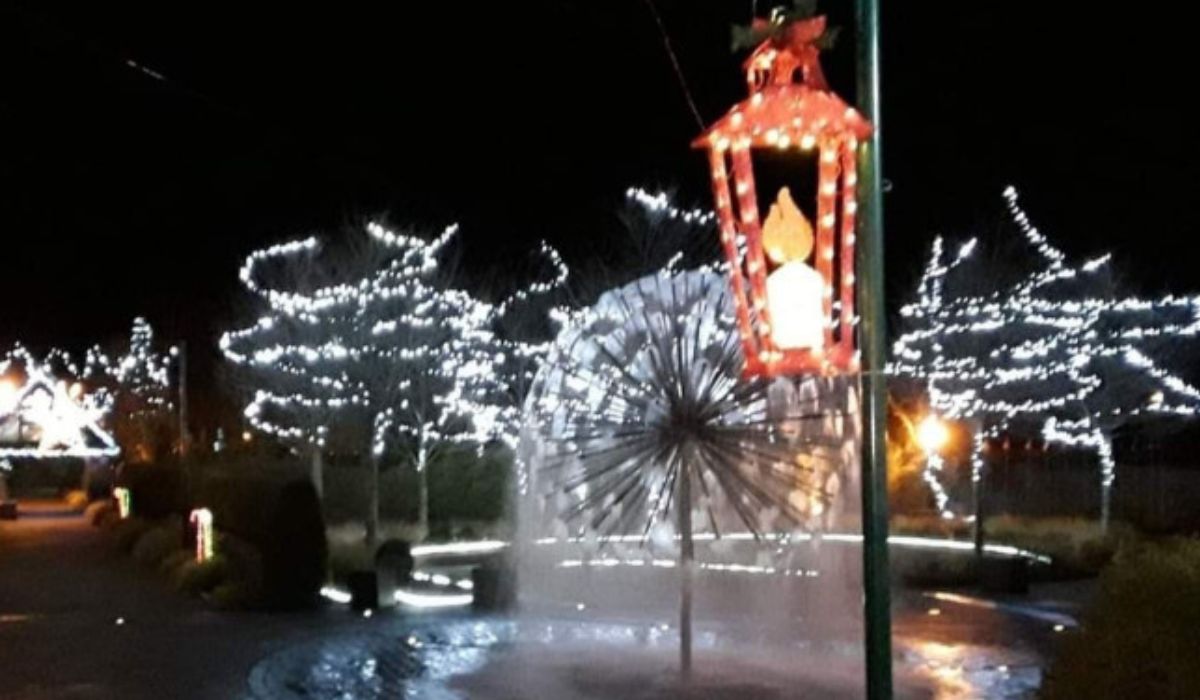 Christmas Wonderland at Delta Sensory Garden