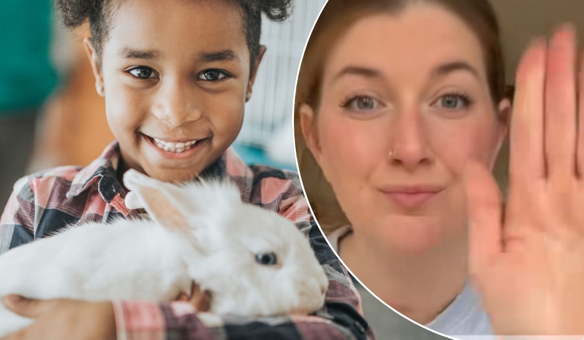 Little girl holding a rabbit with a vet saying why she shouldn't be