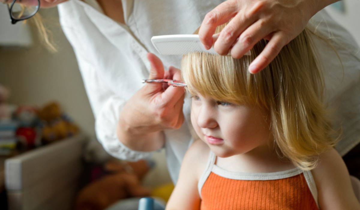Little girl getting haircut