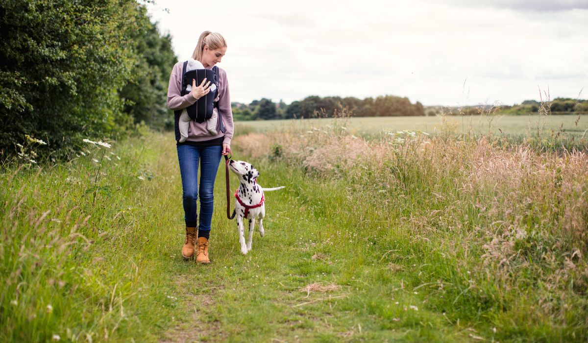 Woman with her baby in a carrier while walking her dog