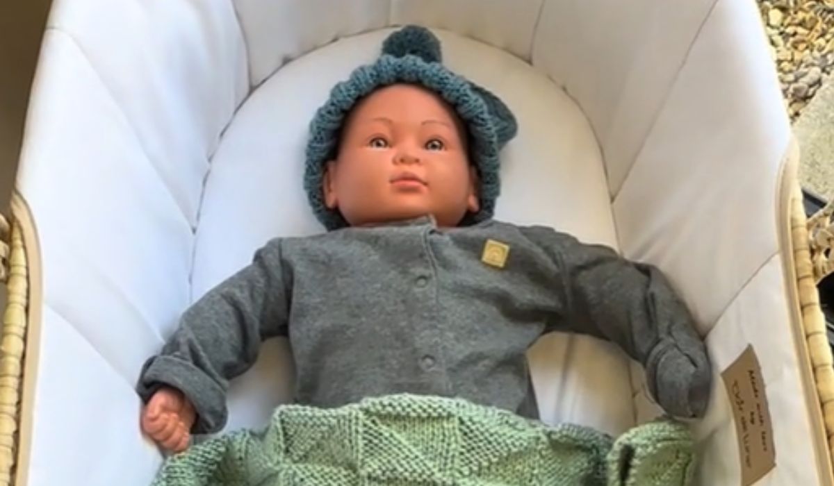 Baby doll asleep in a bassinette with a hat on