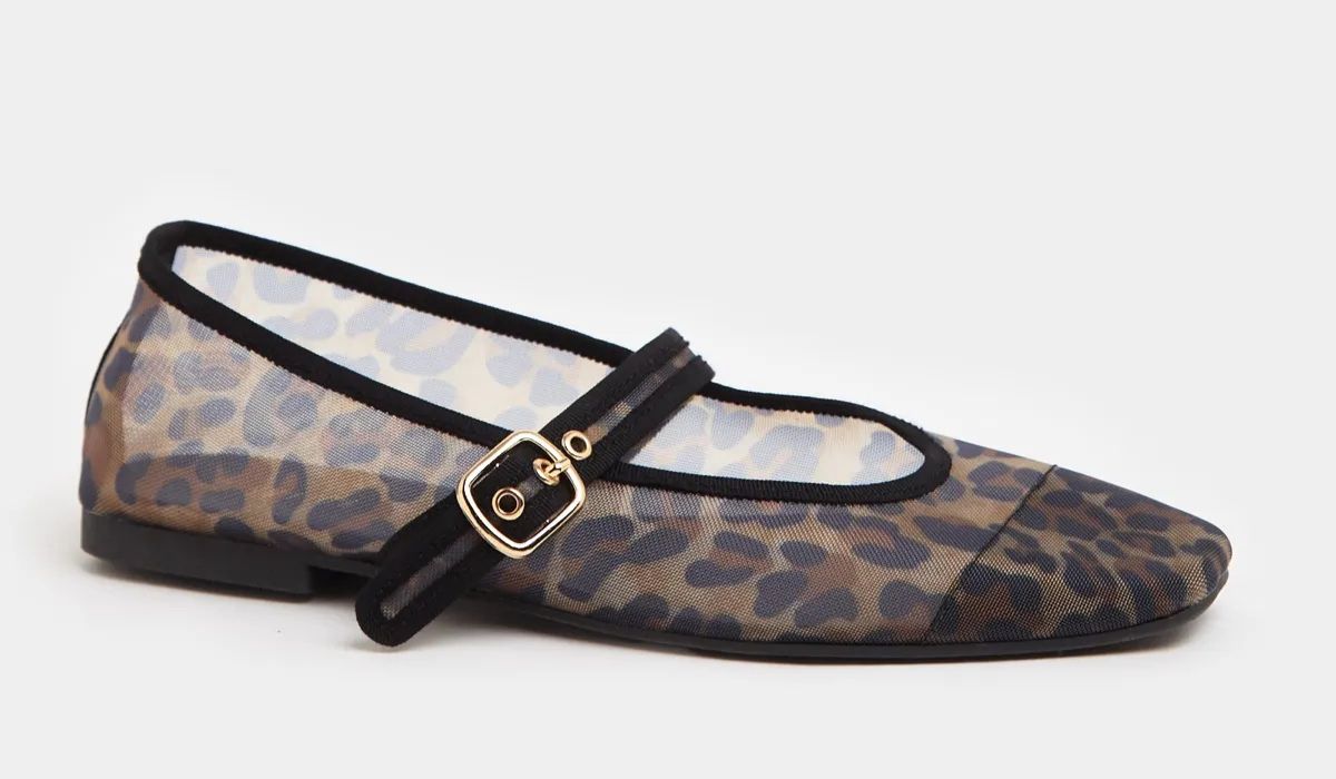 Dunnes Stores mesh ballet flat