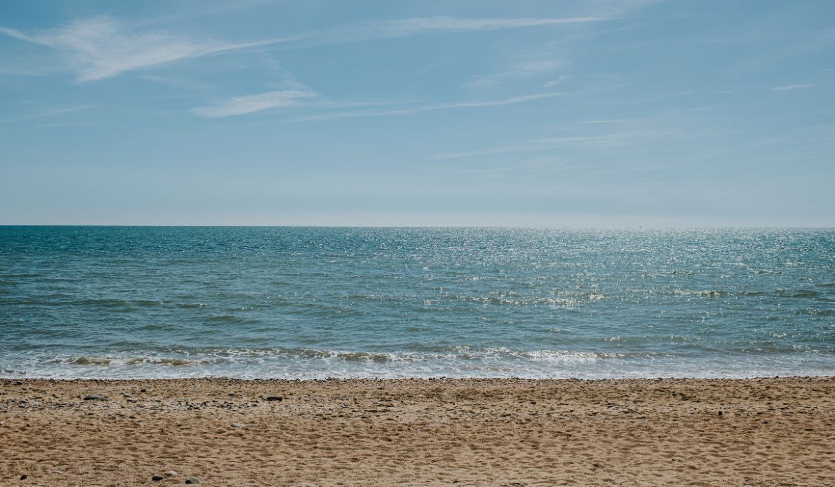 Beach still