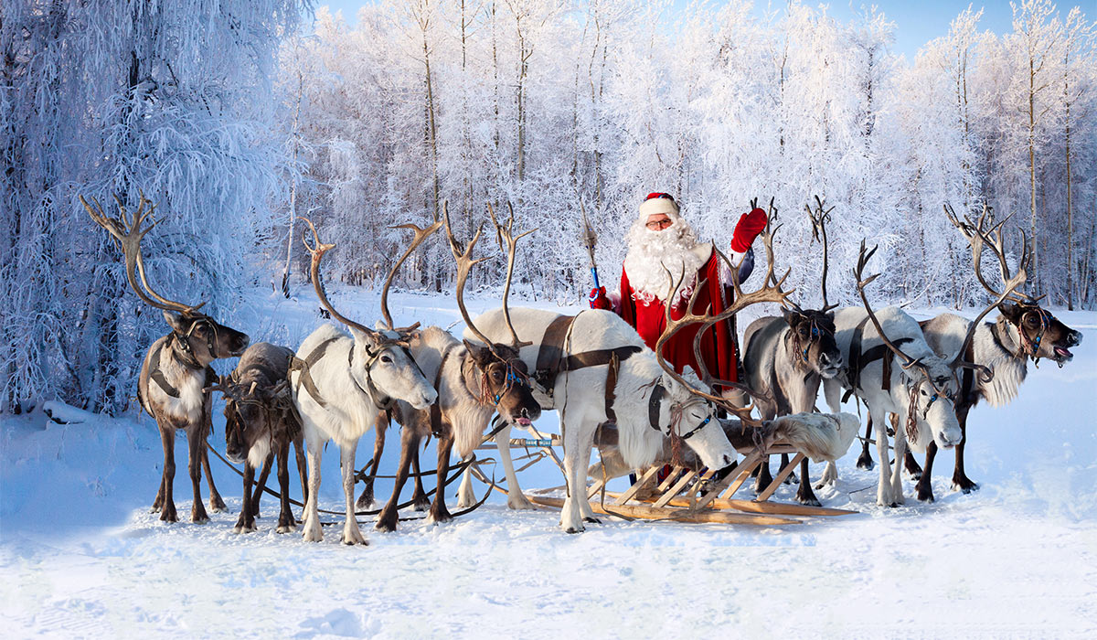 Santa Claus are near his reindeers in snowy forest.