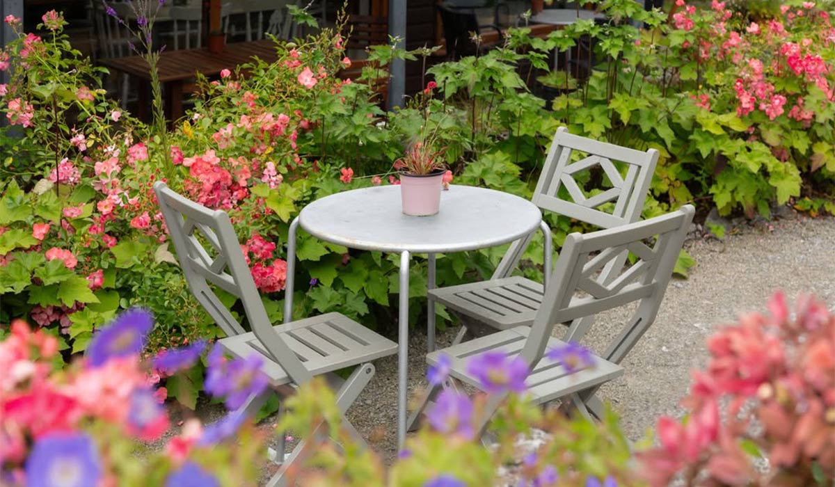 Brigit's Garden, Galway. Pic: Instagram