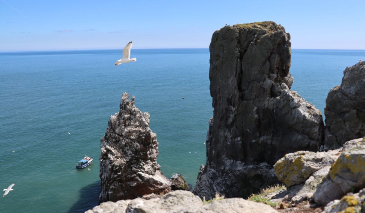 Howth cliff tours