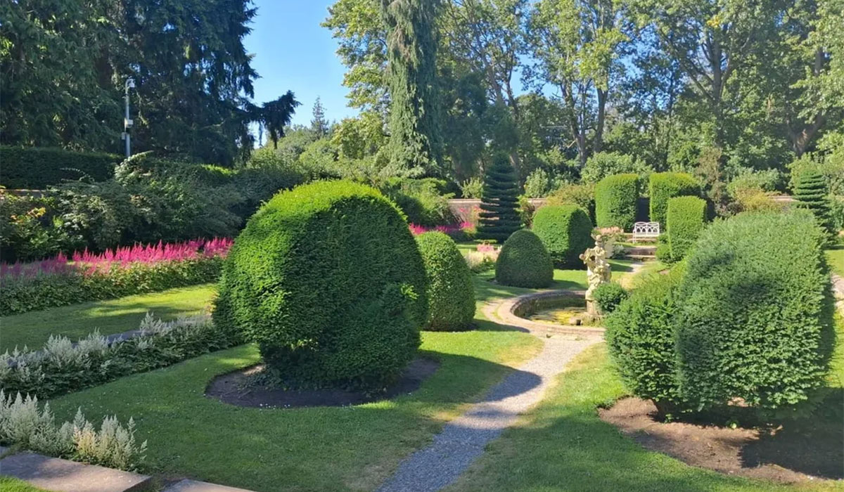 Things to do this weekend in Ireland | Friday 1st - Monday 4th August, 2025