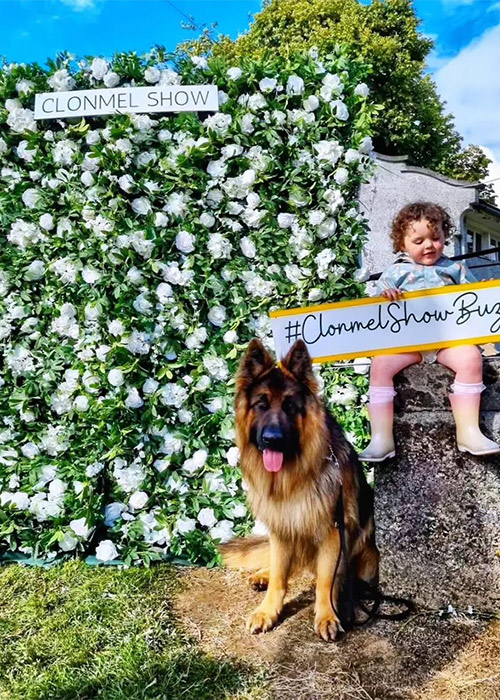 Things to do this weekend in Ireland | July 4th - July 6th, 2025