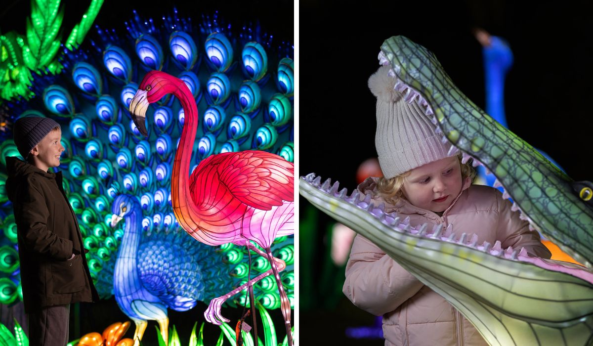 Dublin Zoo Wild Lights