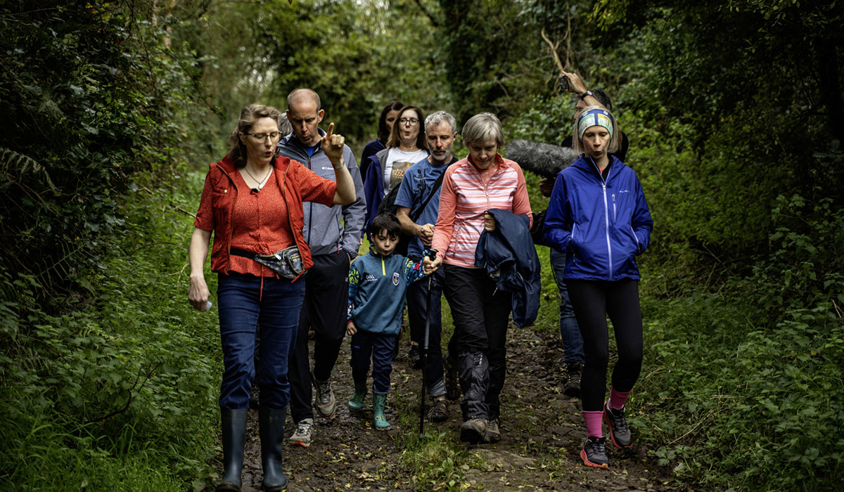 Ballyhoura Walking & Joyce Brothers Music Festival. Pic: Visit Ballyhoura