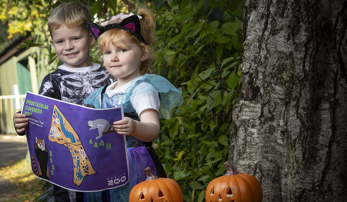 Boo at the Zoo: Spooktacular Halloween Celebrations at Dublin Zoo! Kids in costume go free* on the 31st October. Pic: Supplied