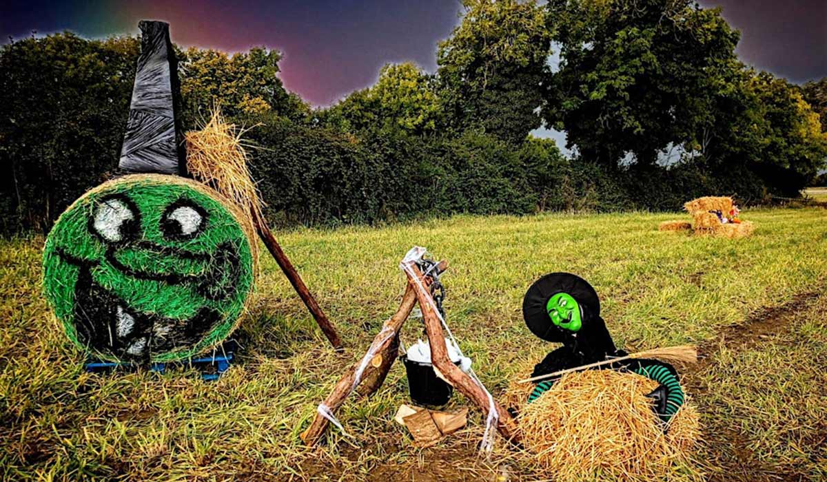 Guy Farm Pumpkin Patch. Pic: guyfarmproduce.ie