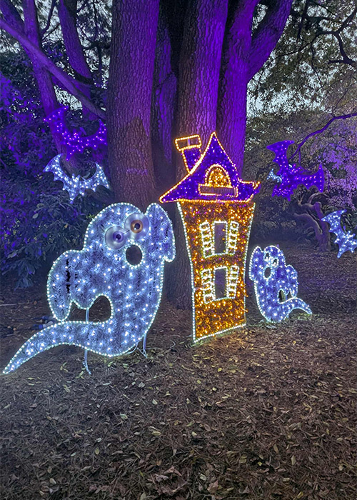 The Haunted Trail: Malahide Castle's annual test of parental sanity (and rain gear)