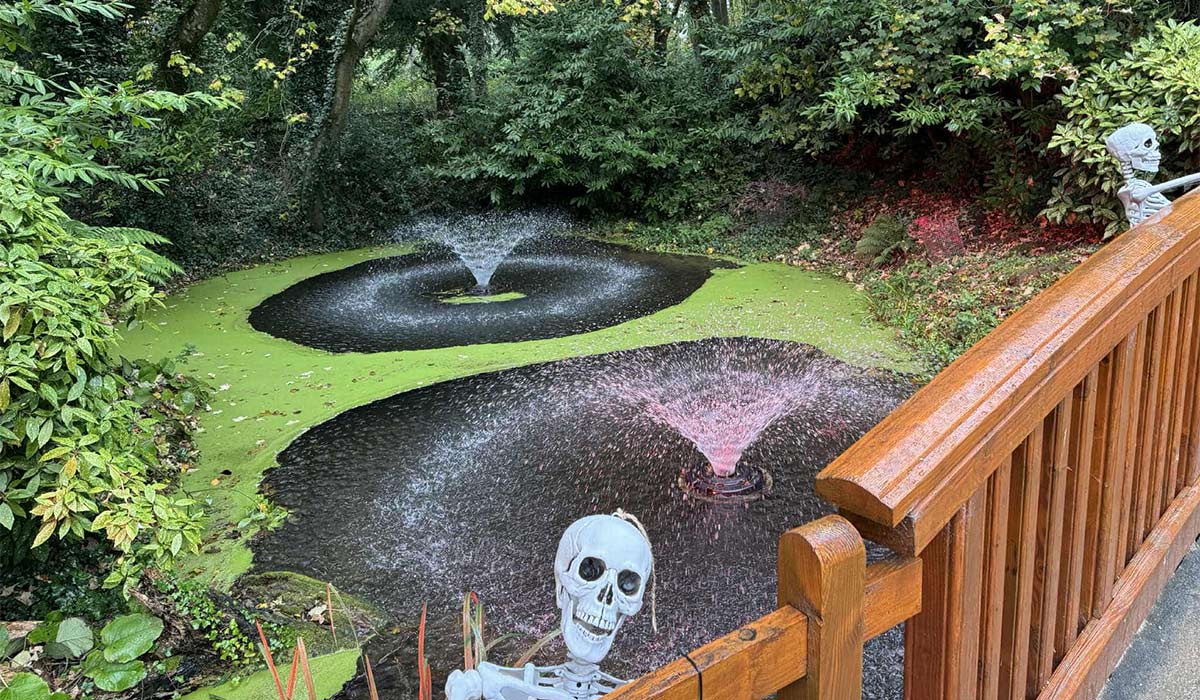 The Haunted Trail: Malahide Castle's annual test of parental sanity (and rain gear)