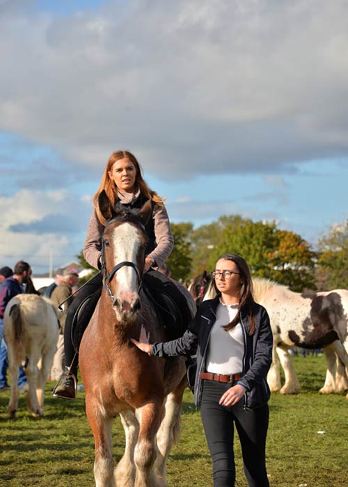 Ballinasloe Horse Fair. Pic: ballinasloeoctoberfair.ie