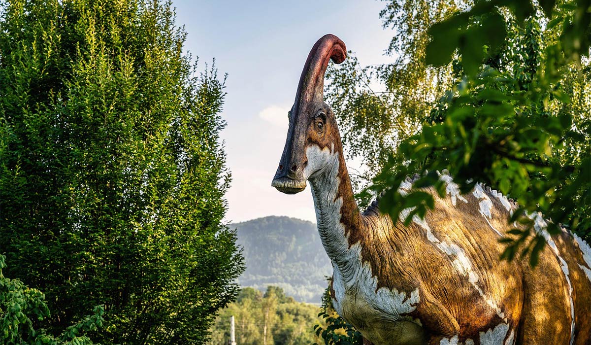 Dinosaur Live Show. Pic: Facebook