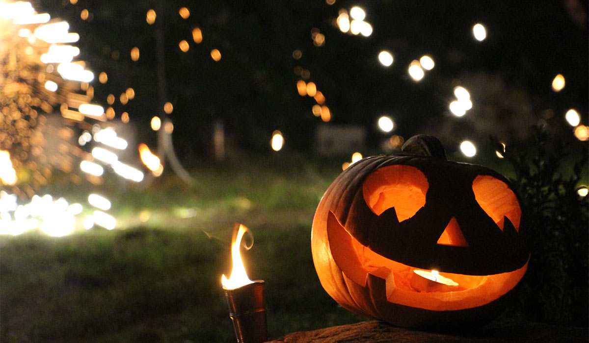 halloween - pumpkin