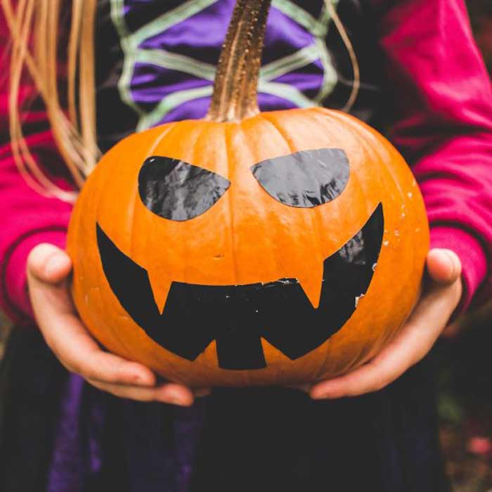 Clissmann Pumpkin Patch. Pic: clissmannhorsecaravans.com