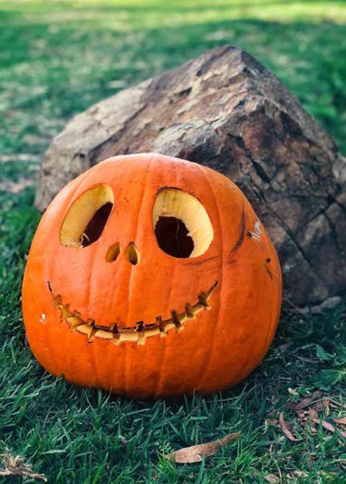 Clissmann Pumpkin Patch. Pic: clissmannhorsecaravans.com