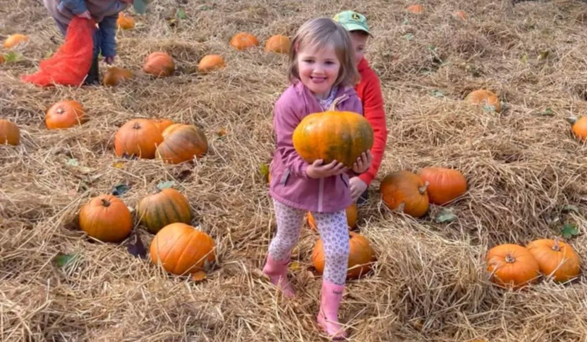 Pete's Pumpkin Patch. Pic: Petespumpkinpatch.net