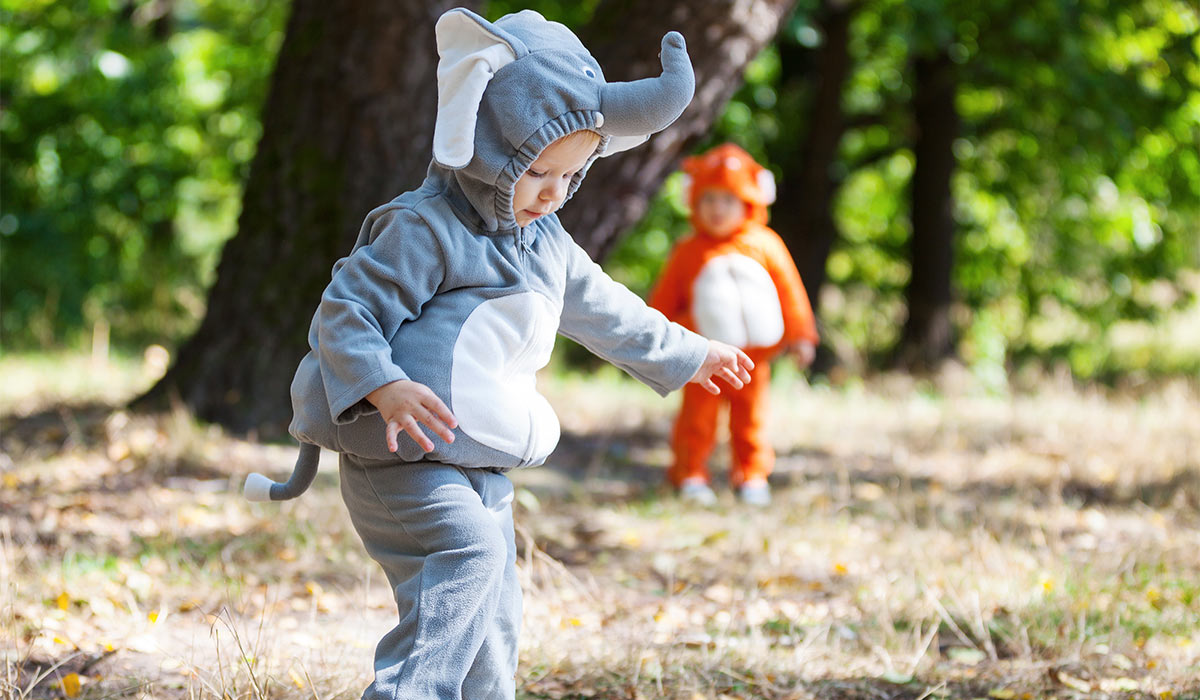 Two toddler boys dressed in animal costumes in autumn park, focus on child in elephant costume; Shutterstock ID 216735628; purchase_order: -; job: -; client: -; other:
