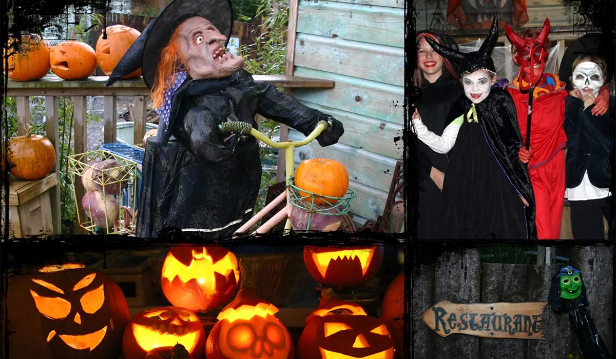 Spook Aughty Festival. Pic: slieveaughtycentre.com