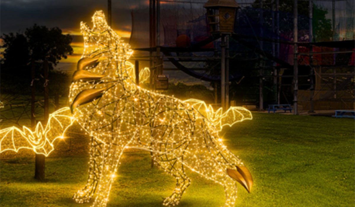 Adventure Lights, Louth. Pic: skypark.ie