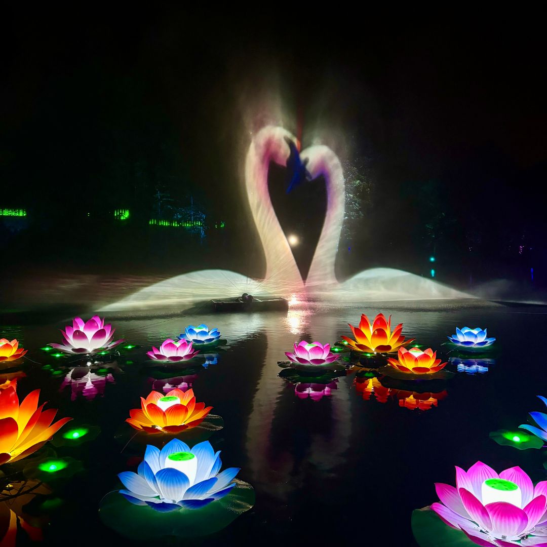 Wonderlights