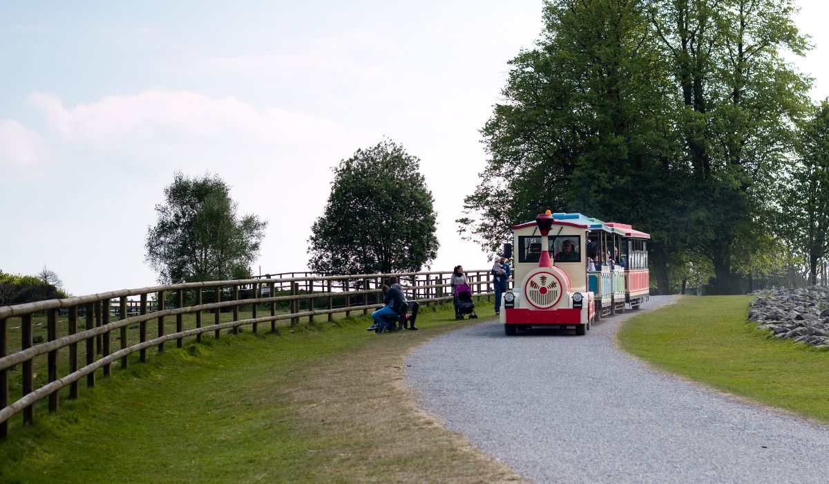 Train at Fota Wildlife Park