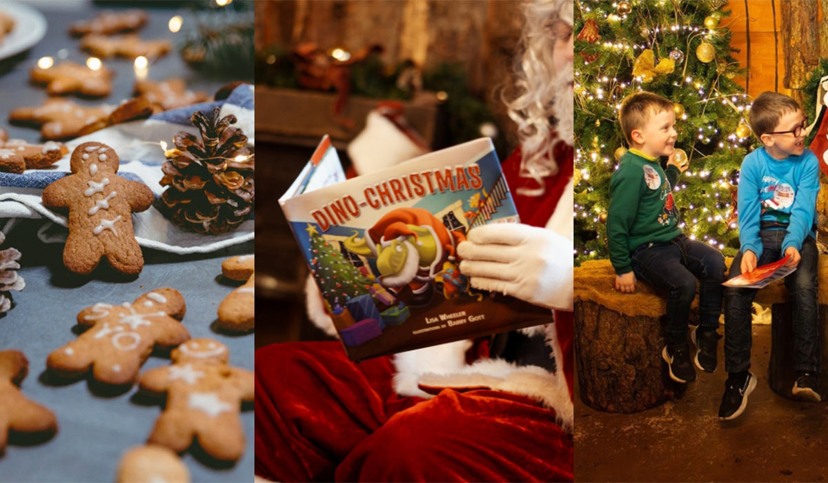 Santa Experience, Kilkenny. Pic: Jurassicnewpark.com