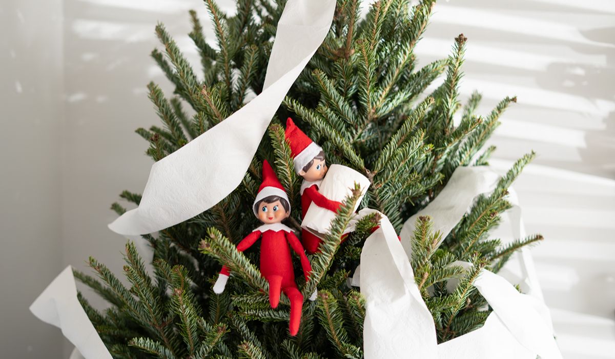 elf on the shelf