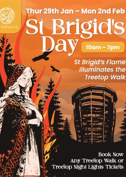 St. Brigit's Flame. Pic: Instagram