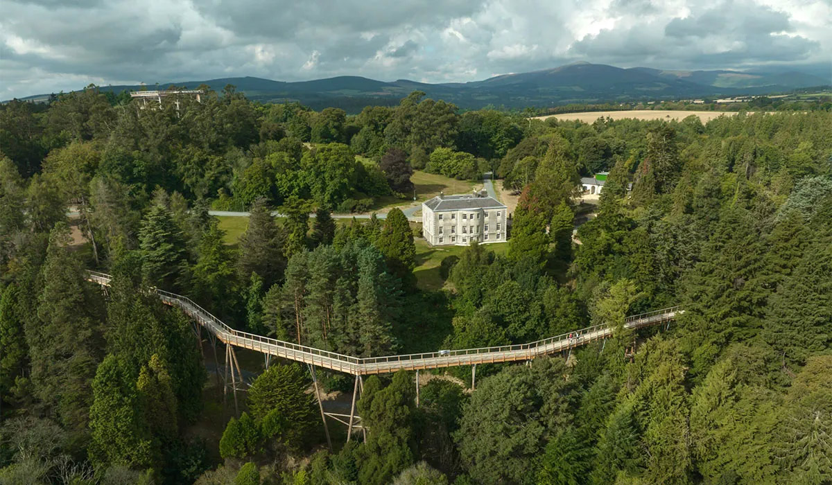 beyond the trees, Avondate. Pic: beyondthetreesavondale.com