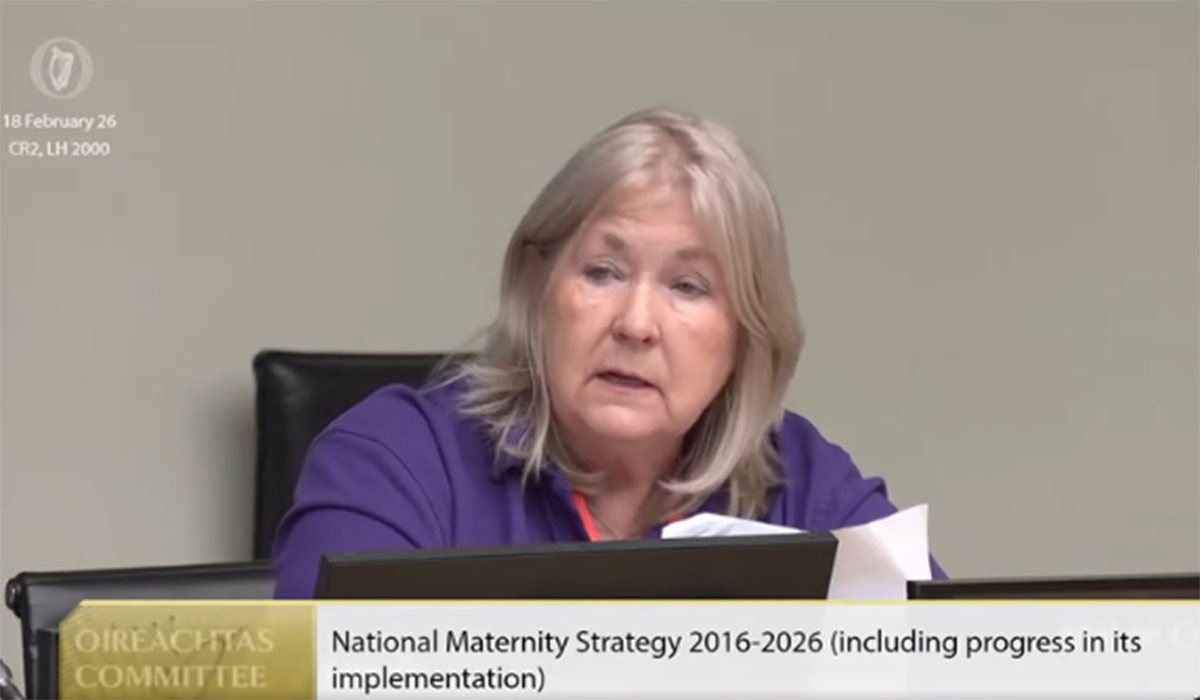 MAIRIE CREGAN. Pic: Oireachtas Committee