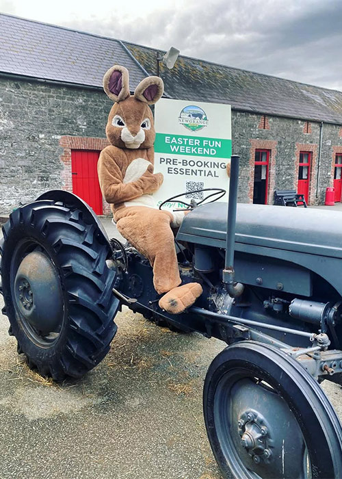 Easter Weekend Festival Newgrange Farm. Pic: Instagram