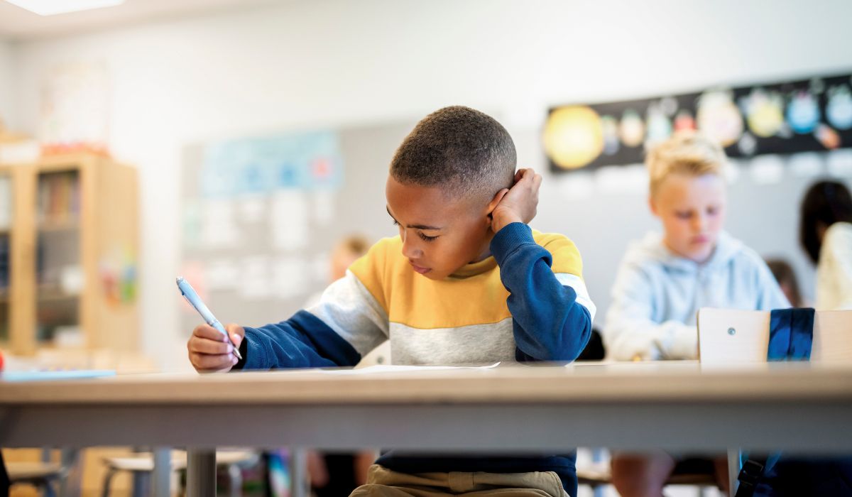 Boy in school