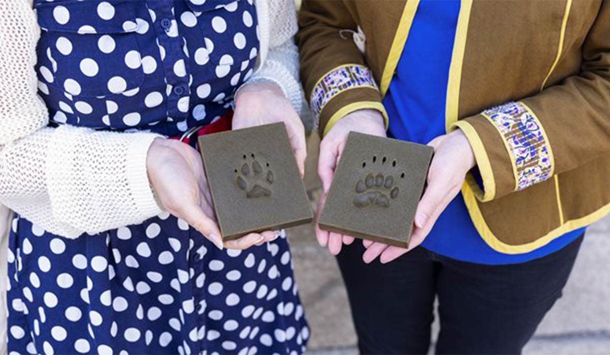 Dead Zoo Lab Discovery Zone Drop-In. Pic: Museum.ie
