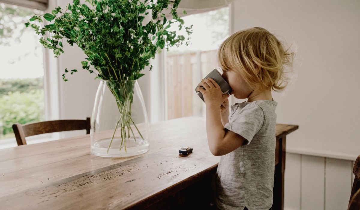 Toddler drinking fro cup