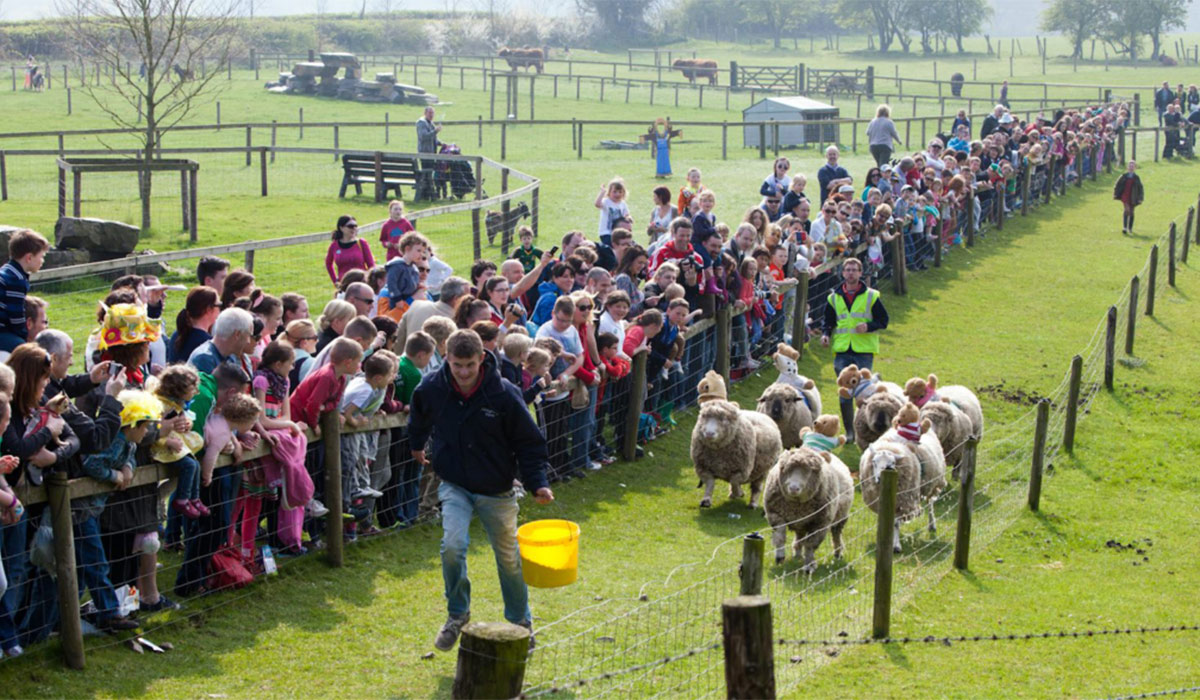 Newgrange Farm. Pic: newgrangefarm.com